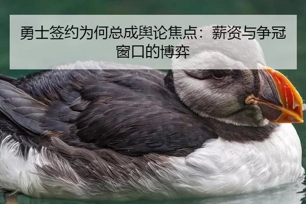 勇士签约为何总成舆论焦点：薪资与争冠窗口的博弈